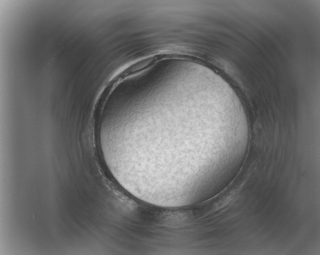 X0000063460931200602031830