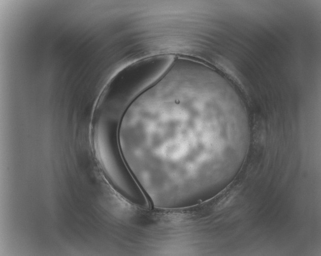 X0000063460932200602031830