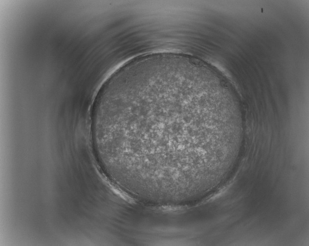 X0000063460933200602031830