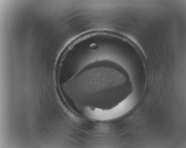 X0000063460935200602031830