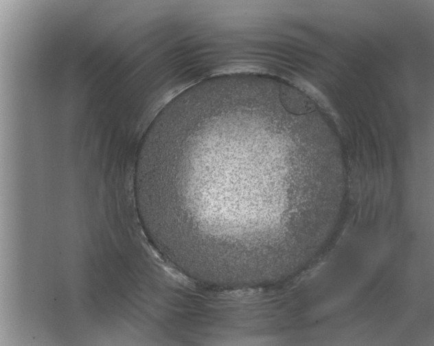 X0000063460937200602031830