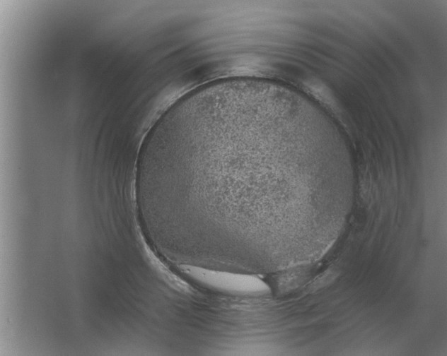 X0000063460938200602031830