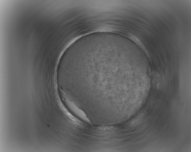 X0000063460939200602031830