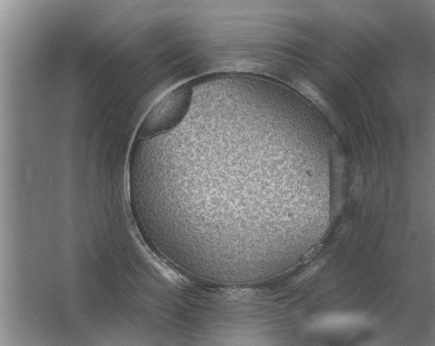 X0000063460940200602031830