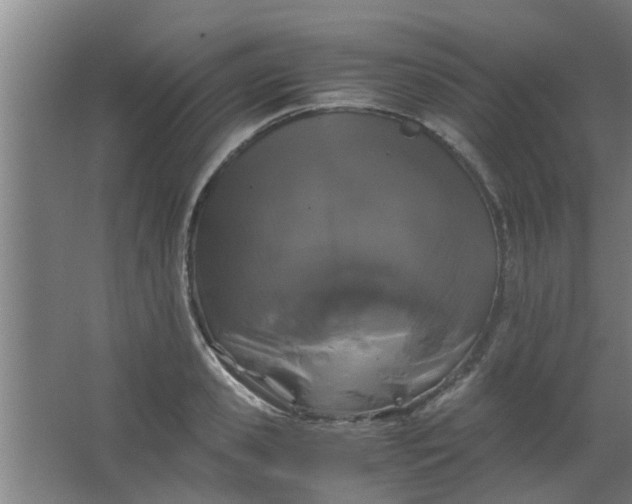 X0000063460941200602031830