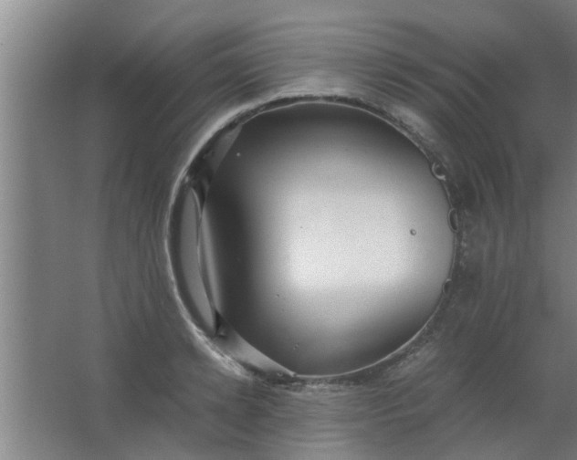 X0000063460942200602031830