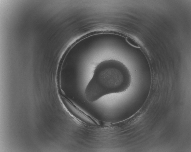 X0000063460943200602031830