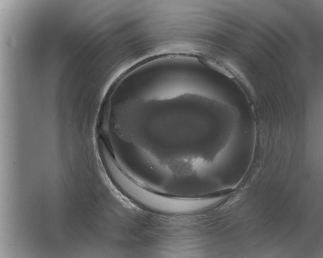 X0000063460944200602031830