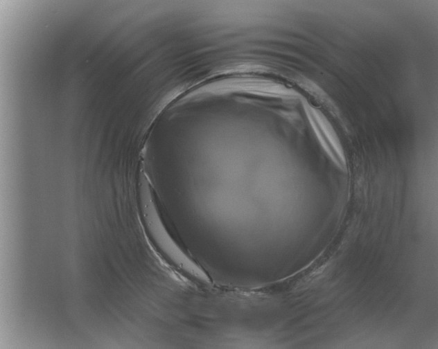 X0000063460945200602031830