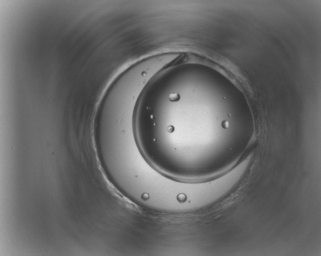 X0000063460950200602031830