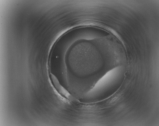 X0000063460951200602031830