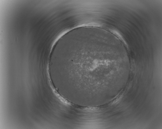 X0000063460952200602031830