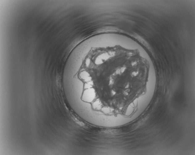 X0000063460953200602031830