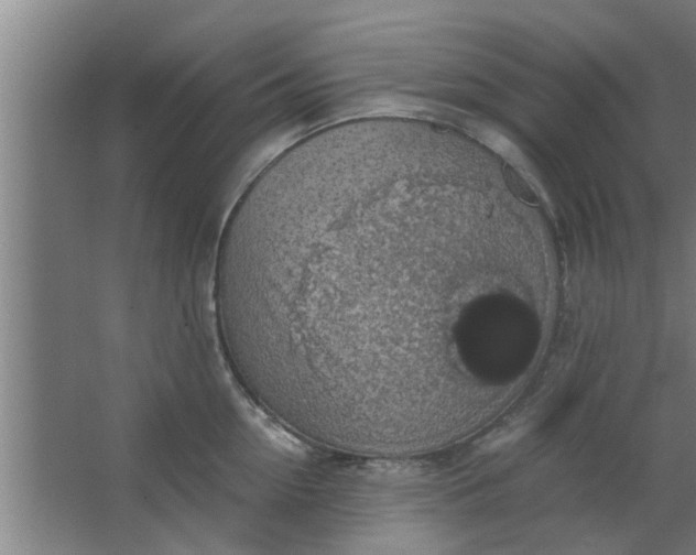 X0000063460954200602031830