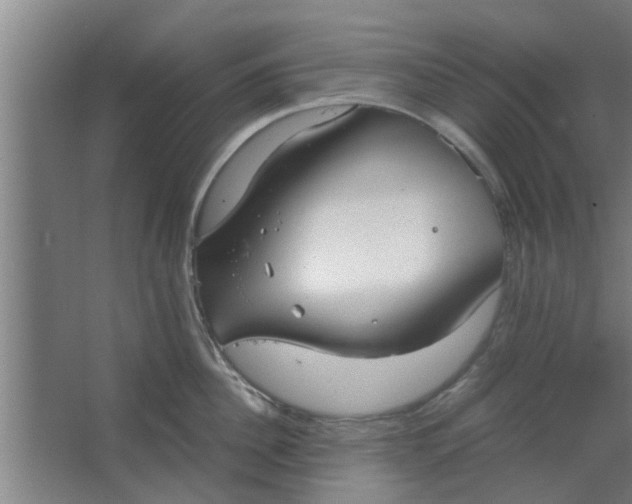 X0000063460956200602031830