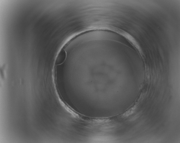 X0000063460958200602031830