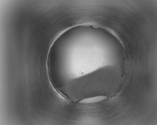 X0000063460959200602031830