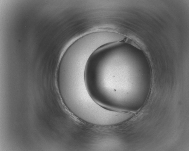 X0000063460960200602031830