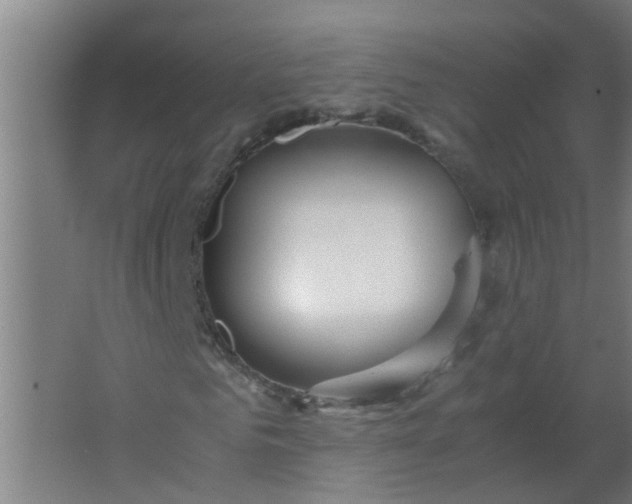 X0000063460961200602031830