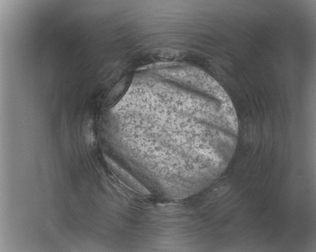 X0000063460962200602031830