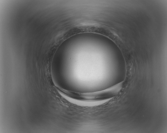 X0000063460965200602031829