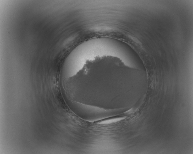 X0000063460966200602031829