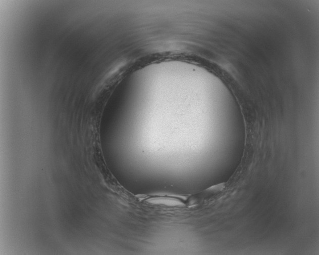 X0000063460967200602031829