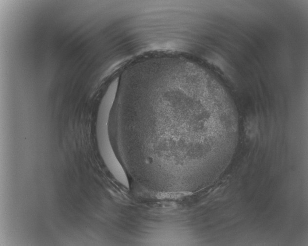 X0000063460968200602031829