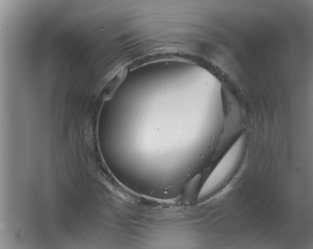 X0000063460969200602031829