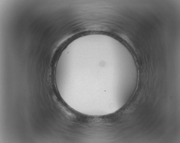 X0000063460971200602031829