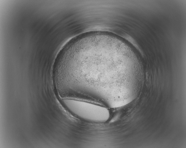 X0000063460972200602031829