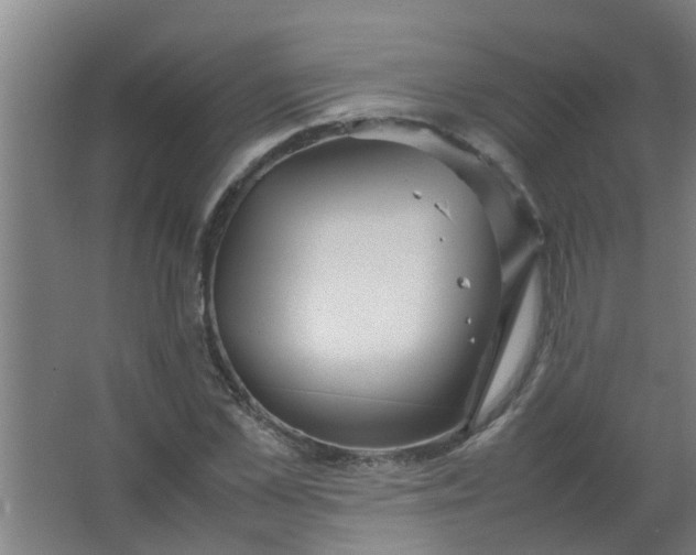 X0000063460973200602031829