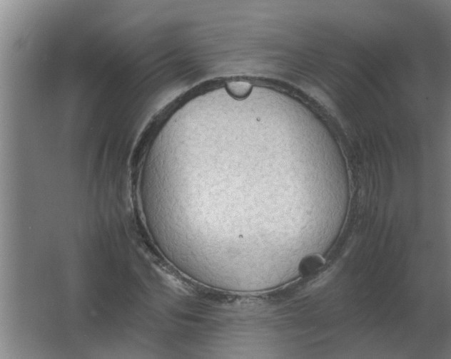 X0000063460974200602031829