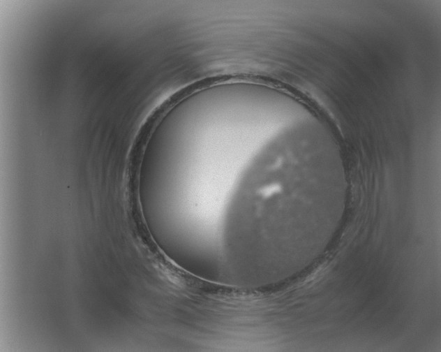 X0000063460975200602031829