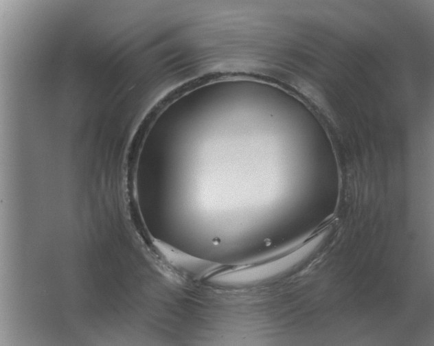 X0000063460976200602031829