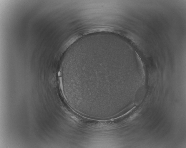 X0000063460977200602031829