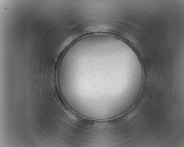 X0000063460978200602031829