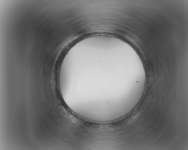 X0000063460979200602031829