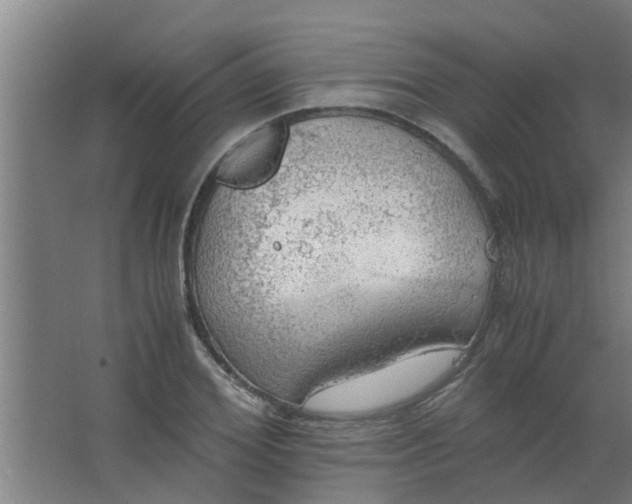 X0000063460980200602031829