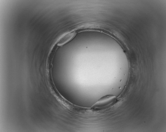 X0000063460981200602031829