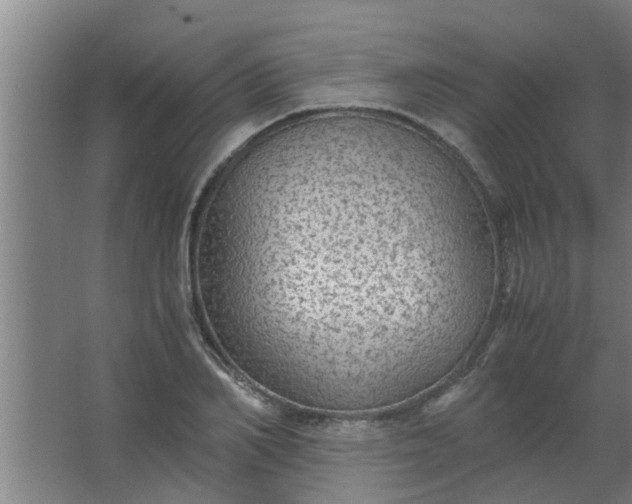 X0000063460982200602031829