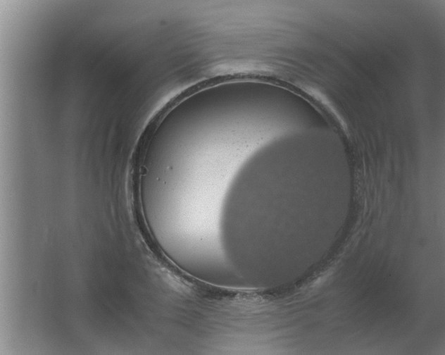 X0000063460983200602031829