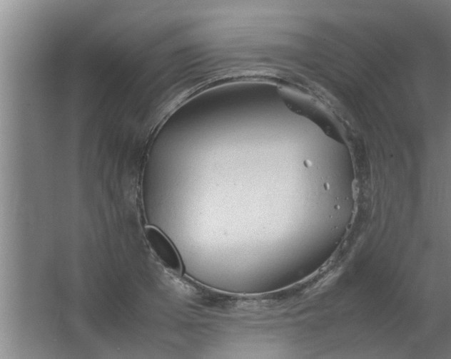 X0000063460985200602031829