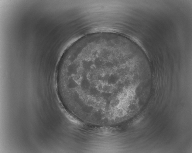 X0000063460987200602031829