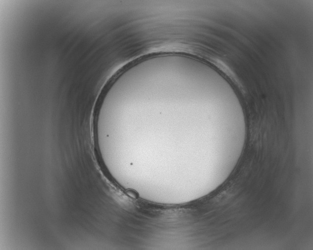 X0000063460988200602031829