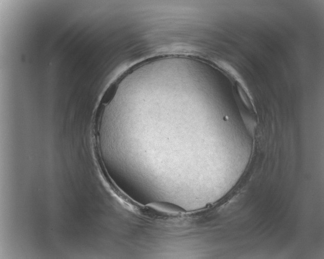 X0000063460989200602031829