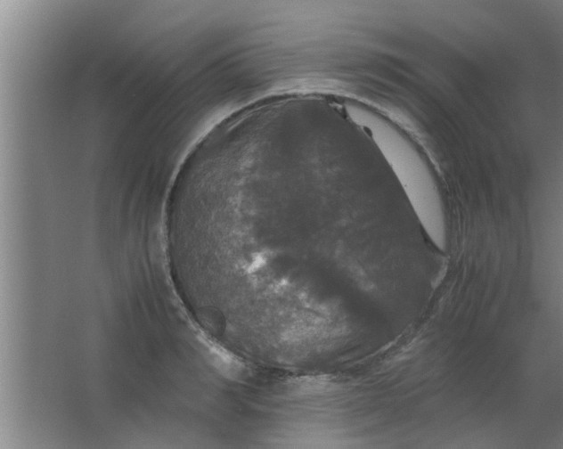 X0000063460990200602031829