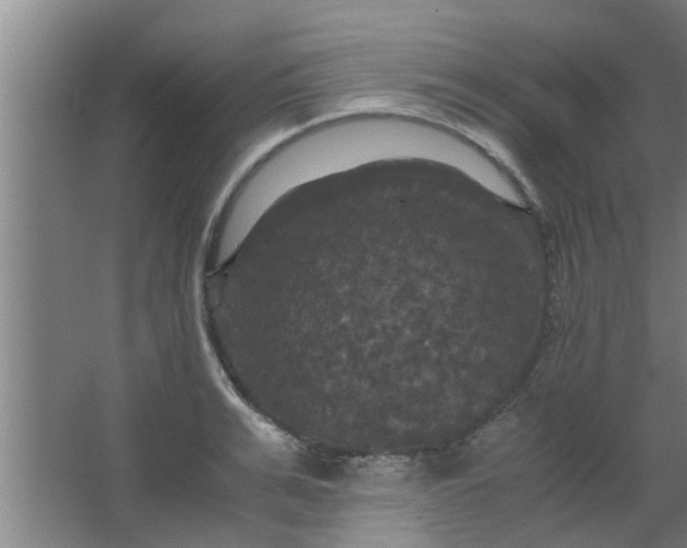 X0000063460991200602031829