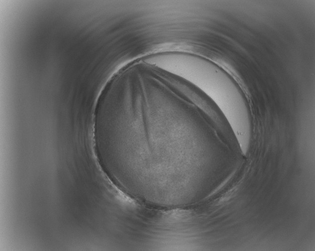 X0000063460992200602031829