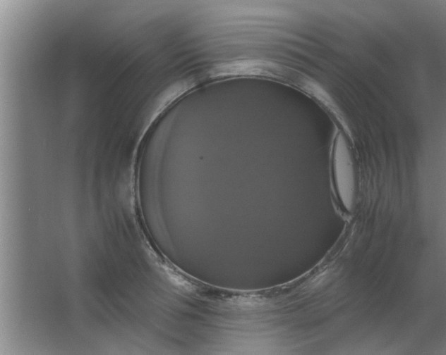 X0000063460994200602031829